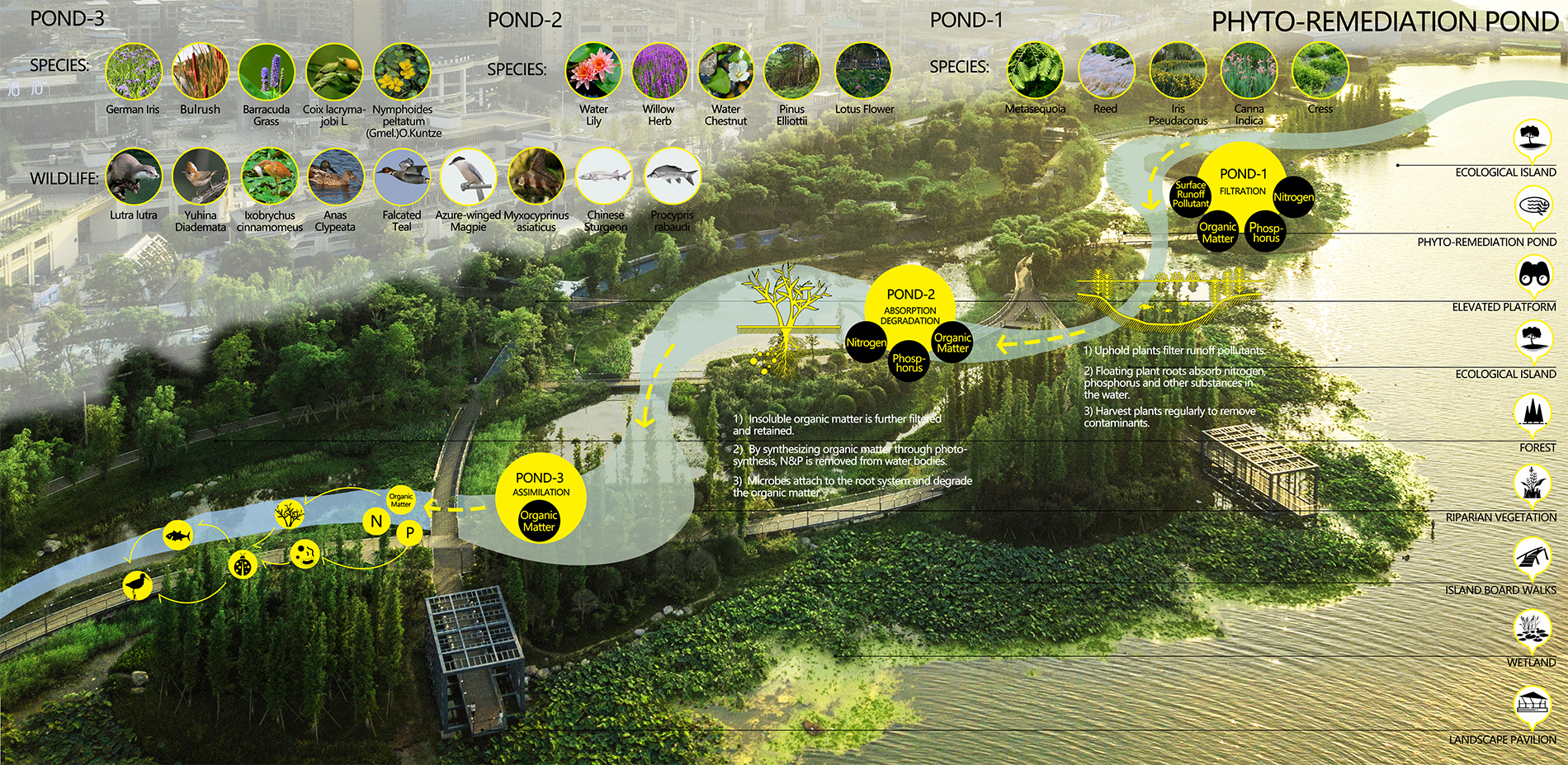 Phytoremediation System，a Functional Landscape